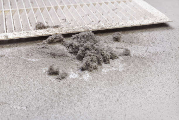 Best HVAC Maintenance and Cleaning  in Elizabeth, NJ