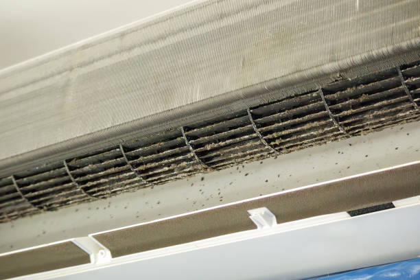 Best Commercial HVAC Duct Cleaning  in Elizabeth, NJ